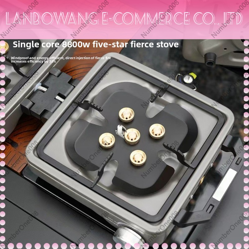 Fornello da Campeggio a Doppio - Camping Cooking Appliances recensione e prezzo